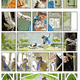 Image for article titled 10 great cartoonists you need to know: Celebrating International Women’s Day